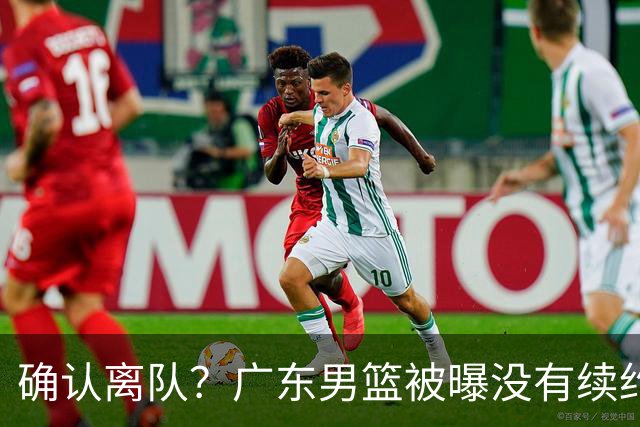 确认离队？广东男篮被曝没有续约杜锋，新主教练人选正式曝光！
